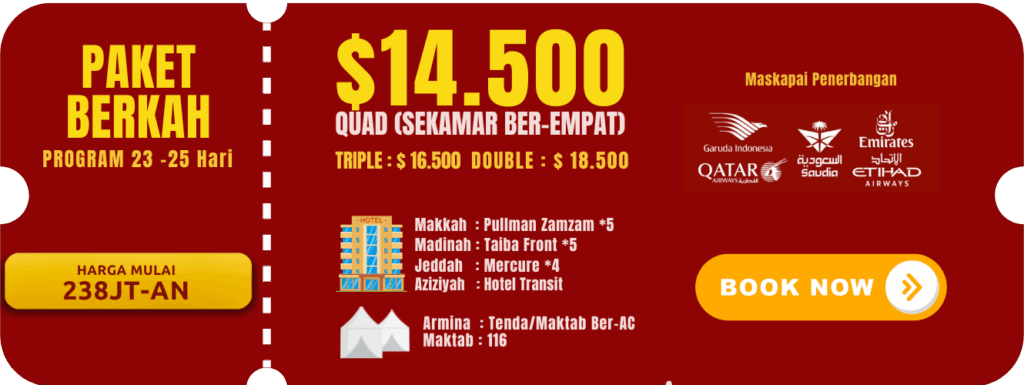 paketoneh 2 1024x385 1.png